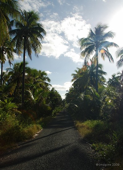 118- La route unique d'Ouvea vers le sud.JPG